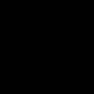 Meet your Posher, Susie